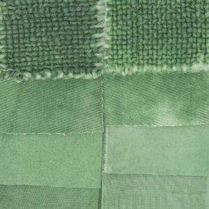 Acquerello Naturale Felce